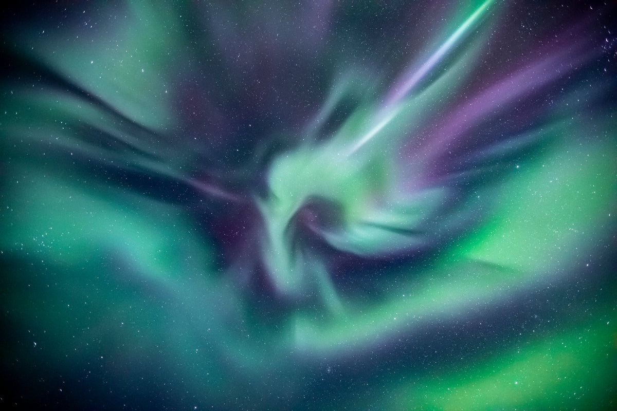 Focus Snowboards Canmore and Banff Snowboard Shop