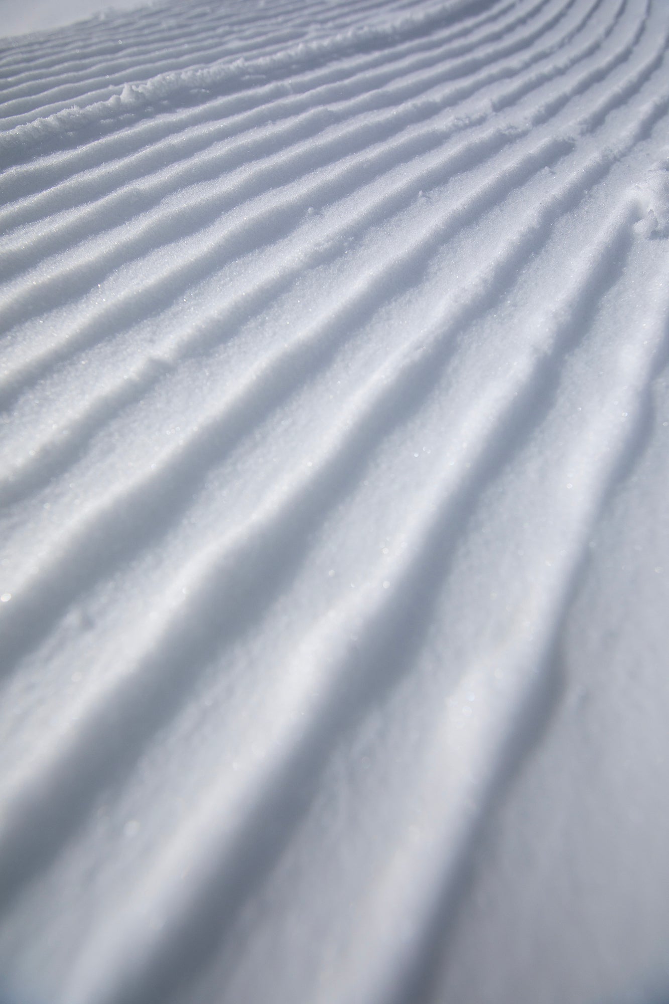 Snow texture and creative artwork with Banff's first snowboarding company, Focus Snowboards.